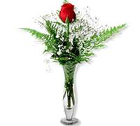 Envio y venta de flores ,rosas, plantas,arreglos florales ,regalos y desayunos a domicilio con delivery gratis en la Ciudad Autonoma de Buenos Aires y con costo de env�o en localidades del Gran Buenos Aires asi como delivery de flores y plantas a trav�s de florerias asociadas en todas las provincias de la Argentina, Buenos Aires, la Pampa, Tucuman, La Rioja, R�o Negro, Entre Rios, Corrientes, Misiones, Neuquen, Chubut, Tierra del Fuego, Santa Cruz, San Luis, Mendoza, Cordoba, Jujuy, Formosa, Santiago del Estero, Salta, Chaco, Catamarca ,San Juan, y ademas realizamos el delivery de flores ,coronas,palmas , plantas y regalos a todas las ciudades de Argentina, Mar del Plata, C�rdoba, Buenos Aires, con cargo en Santa Rosa, La Plata, Bella Vista, Neuquen, Pilar, Paran�, Posadas, Resistencia, Cipolleti y mas de 300 ciudades y localidades en todo el territorio de nuestro pa�s, asi como tambien tenemos la posibilidad de enviar flores a casi todo el mundo en cuestion de horas